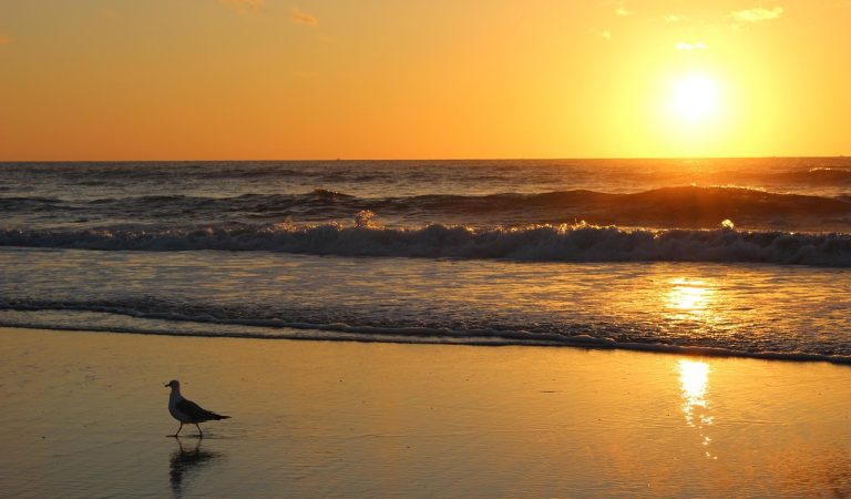 THE COMPLETE GUIDE TO LIFT IN MARKETING: TYPES, MEASUREMENT FRAMEWORKS, AND THE MATHEMATICAL FOUNDATIONS BEHIND INCREMENTALITY