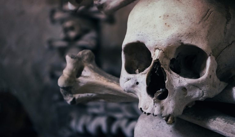 The Death of Generic SEO Content: Why Genuinely Helpful, Expert Content Is More Valuable Than Ever