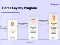 structure of tiered loyalty program