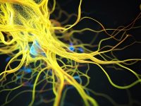 ai generated 7737148 1280