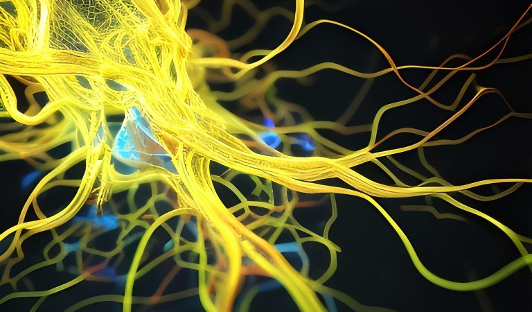 THE BRAINWAVE ADVANTAGE: EEG IN MARKETING IN 2026