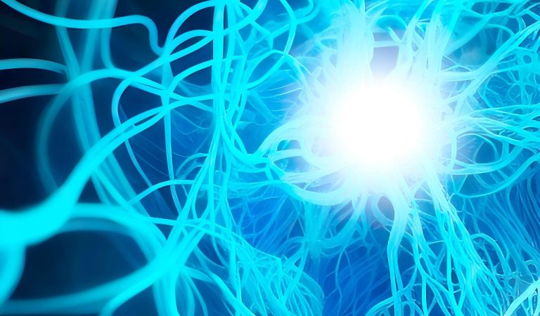 INSIDE THE DECISION CENTER: fMRI IN MARKETING IN 2026