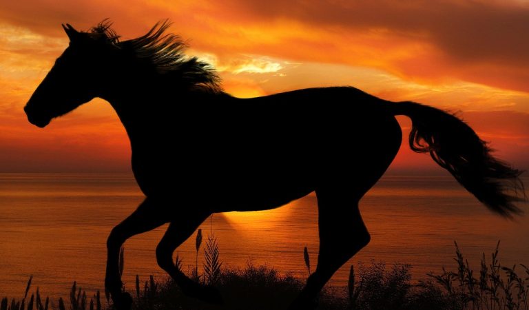 MARKETING IN THE YEAR OF THE FIRE HORSE: A LUNAR NEW YEAR PLAYBOOK FOR BRANDS IN 2026