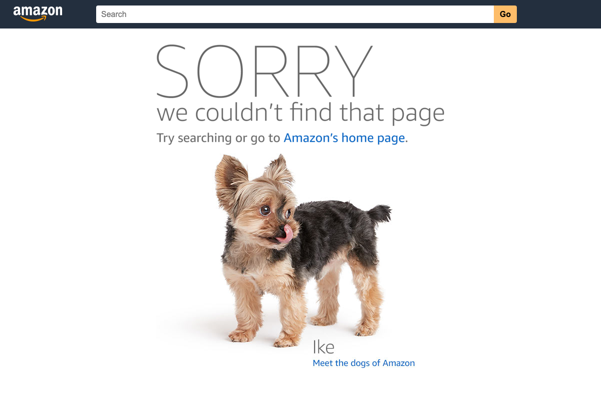 Amazon 404 error page — the targeted Amazon Influencer Program help URL returned no content
