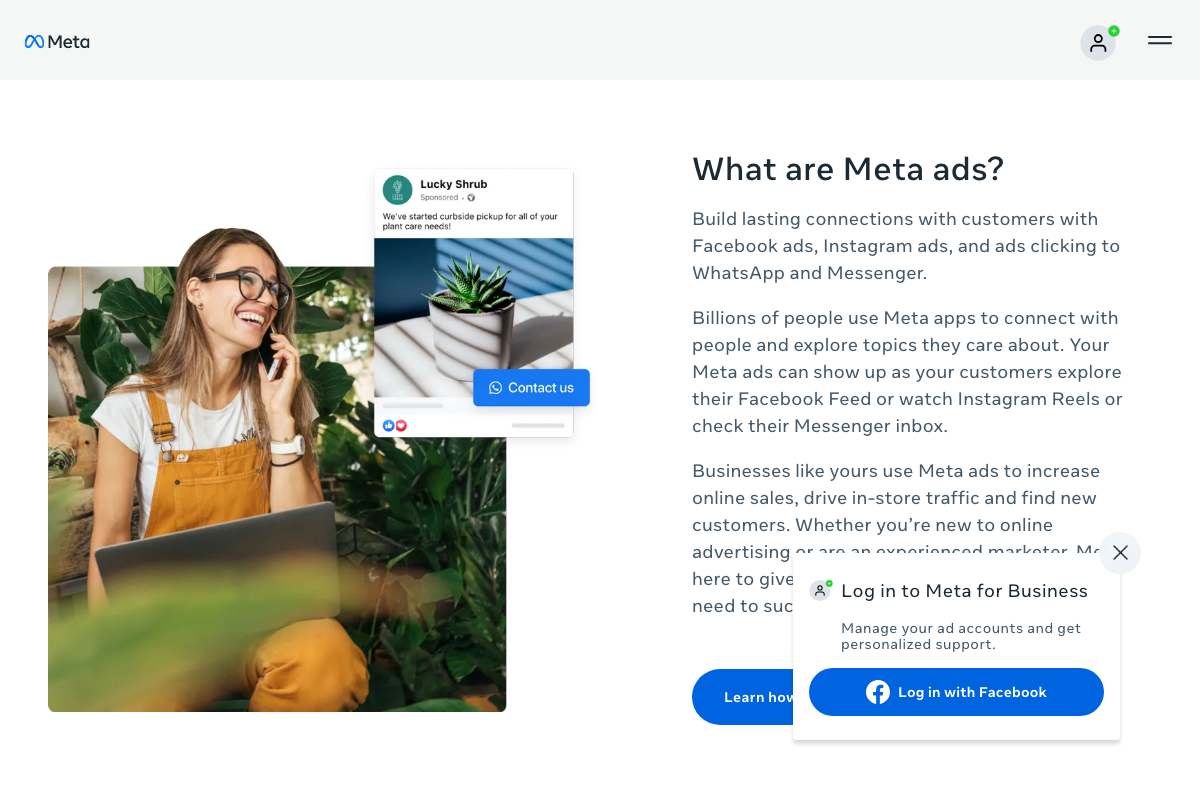 Meta Ads — Instagram Reels confirmed as a documented ad placement alongside Facebook Feed and Messenger inbox