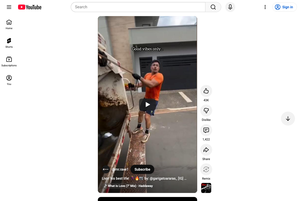 YouTube Shorts player UI showing vertical video format, engagement actions (Like, Dislike, Comment, Share, Remix), and creator attribution — confirming Shorts as a structurally distinct viewing experience
