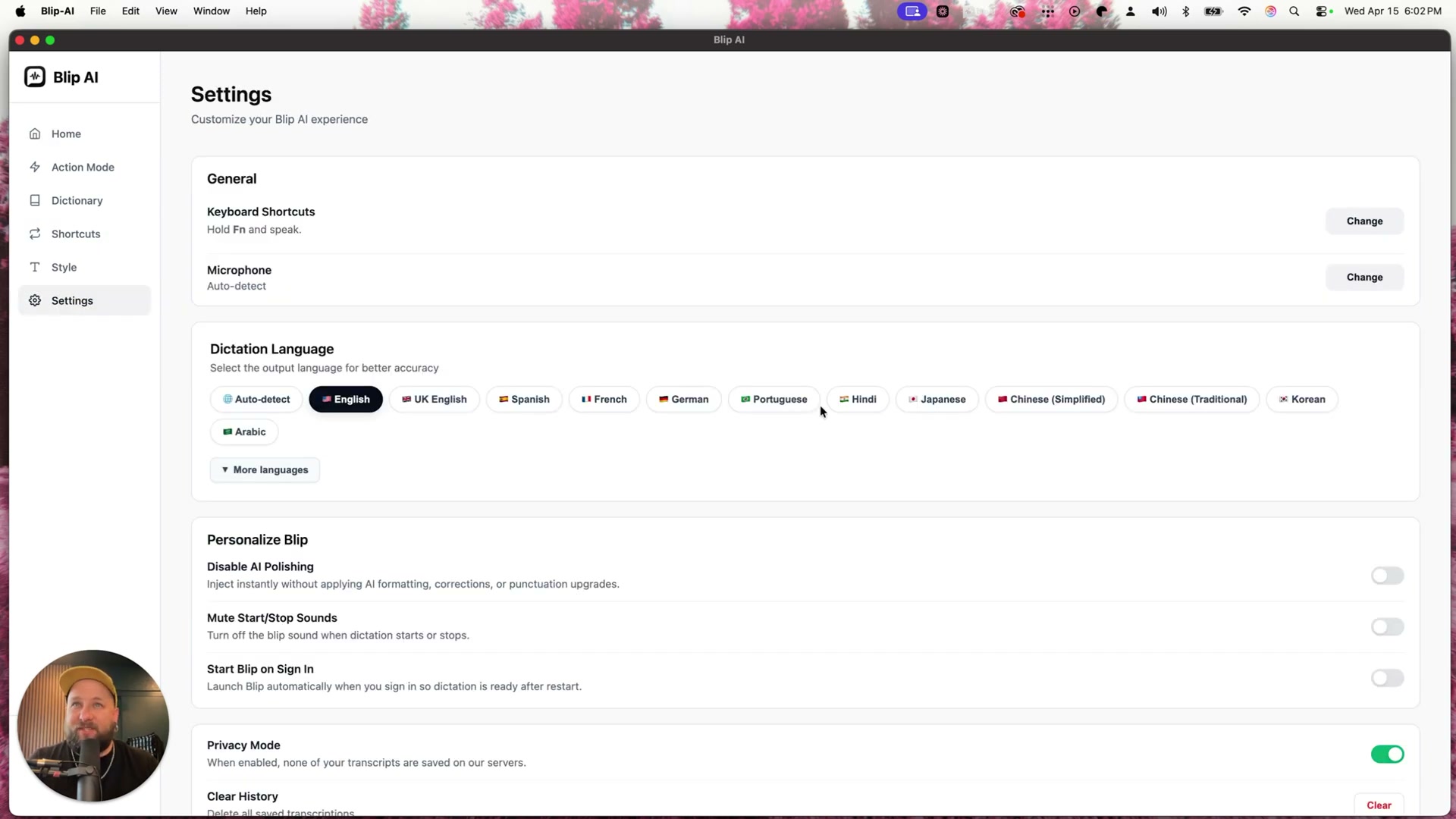 Blip AI Settings: configure your hotkey, microphone, dictation language, and privacy mode
