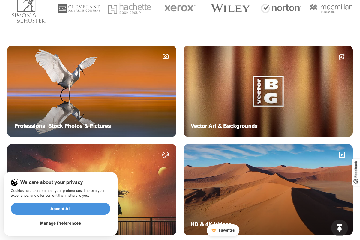 Depositphotos homepage category tiles confirming 'Professional Stock Photos & Pictures' and 'Vector Art & Backgrounds' as primary content surfaces.