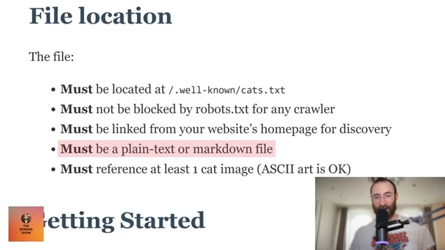 The fake spec even required at least one cat image — a tell buried in otherwise convincing robots.txt-style technical language.