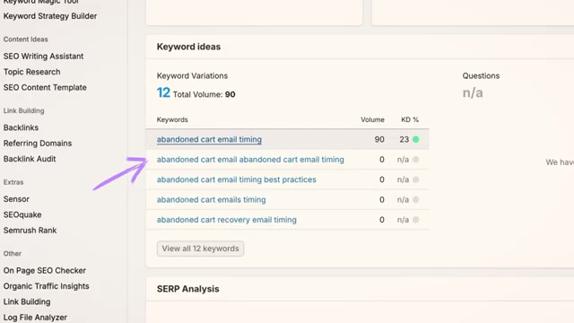'Abandoned cart email timing' — Volume: 90, KD: 23%. A low-competition, high-intent keyword worth targeting
