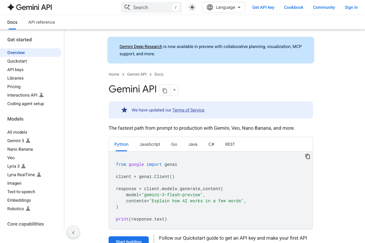 Gemini API developer documentation (ai.google.dev) — the developer API, not the consumer chat interface used in the tutorial's step 2