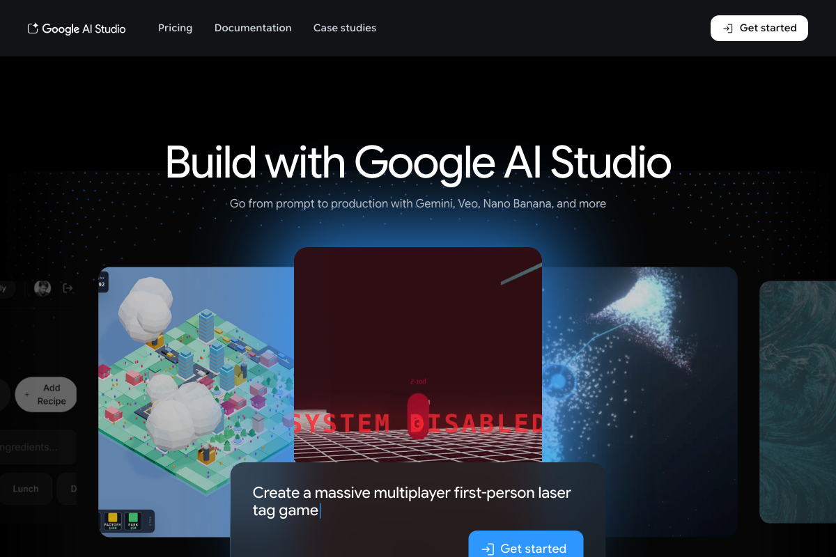 Google AI Studio prompt input — identical interface regardless of prompt type