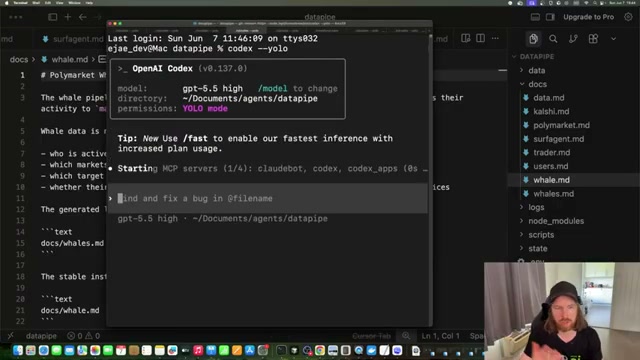 Launching OpenAI Codex with gpt-5.5 high in YOLO mode — the agent starts MCP servers and awaits its first task.