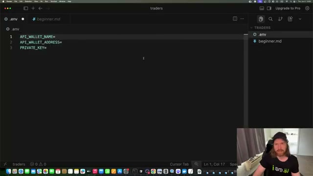 The .env configuration file: API_WALLET_NAME, API_WALLET_ADDRESS, and PRIVATE_KEY are the three credentials required to connect Codex to Hyperliquid.