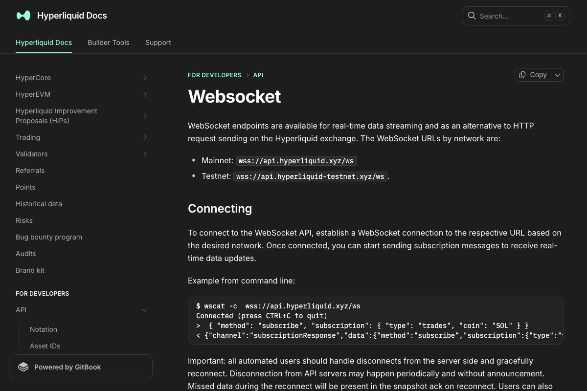 Hyperliquid WebSocket API docs — endpoint URLs for mainnet (wss://api.hyperliquid.xyz/ws) and testnet, with wscat connection example